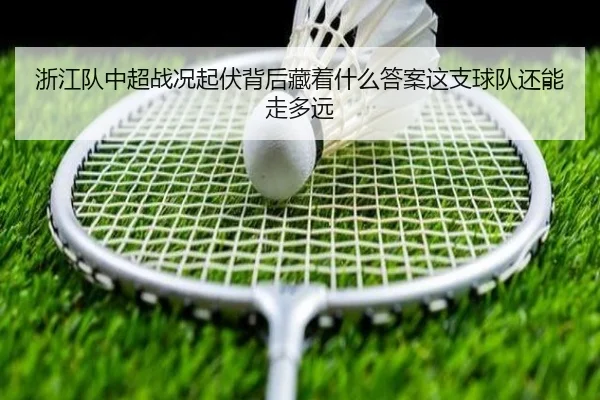 浙江队中超战况起伏背后藏着什么答案这支球队还能走多远